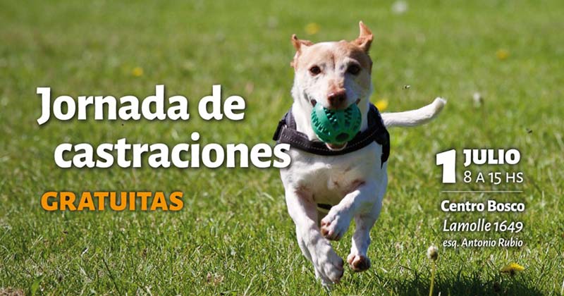 castraciones gratuitas julio 2019