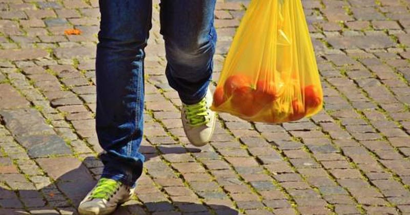 cobro de bolsas 2019