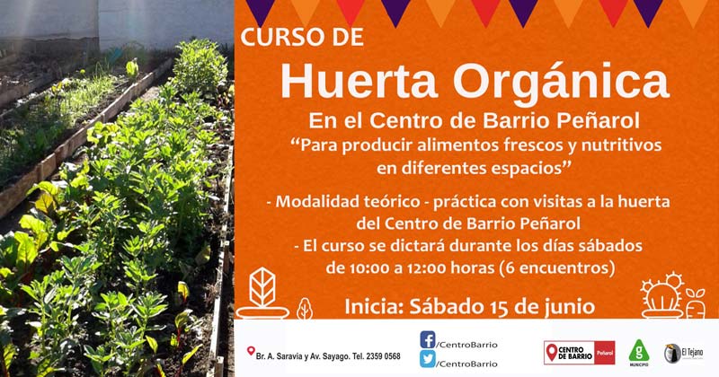 curso de huerta organica 2019
