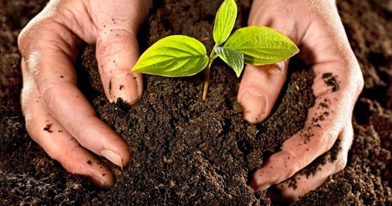 curso en linea de compostaje