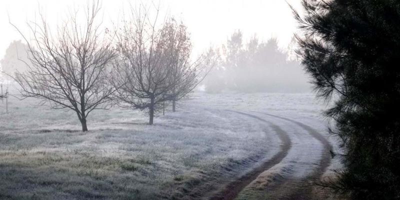 imagen de un campo del inrerior de montevideo
