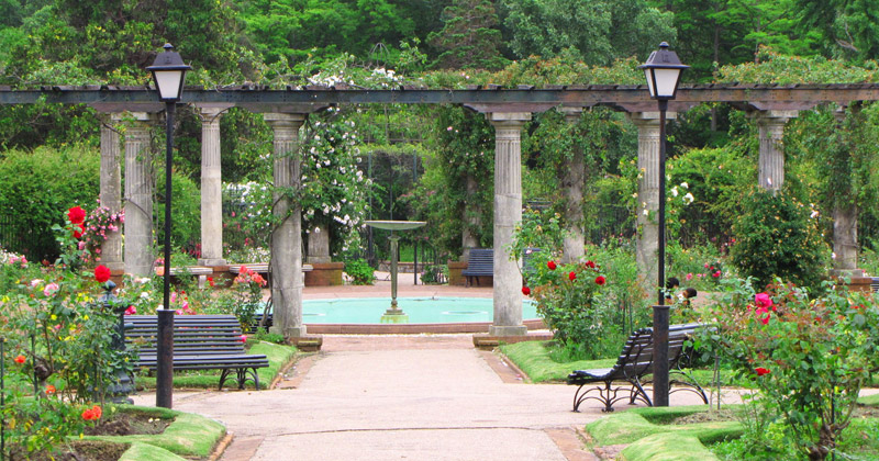 jardin botanico