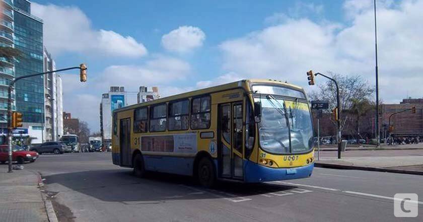 nuevas lineas de transporte