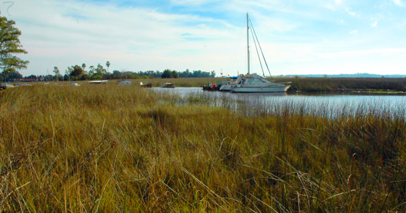 paseos por el medio ambiente
