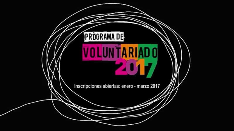 programa de voluntariado