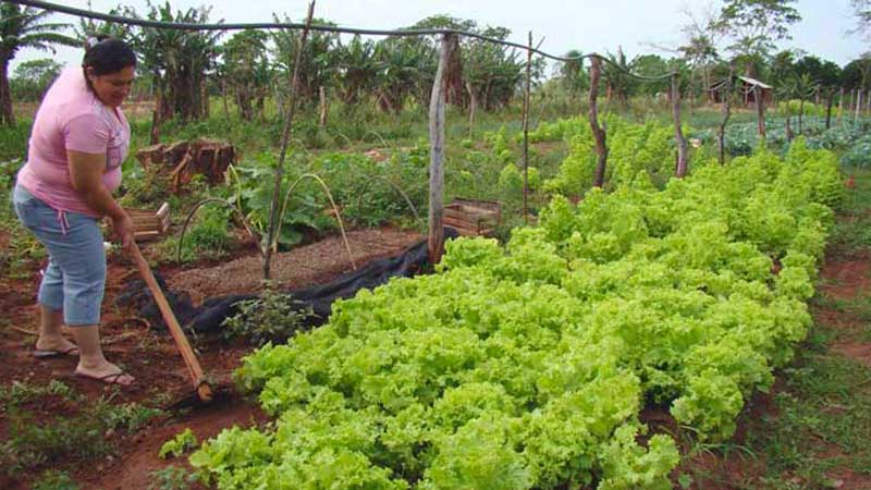 somos productores familiares