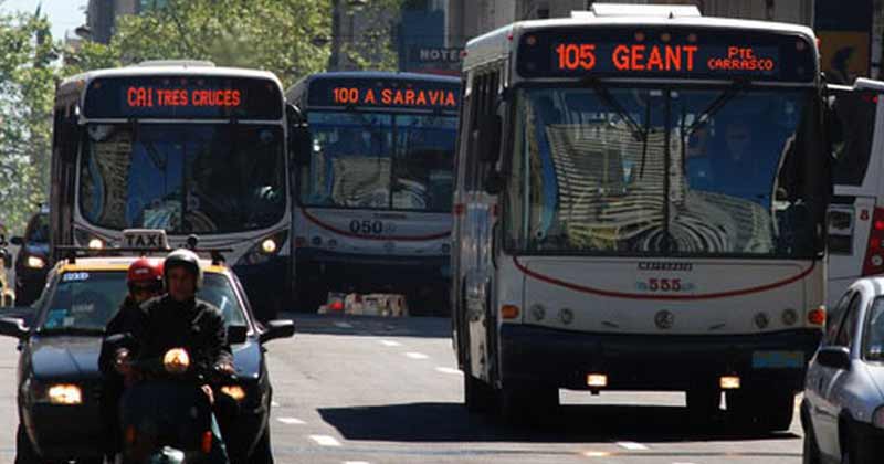 transporte colectivo de monte