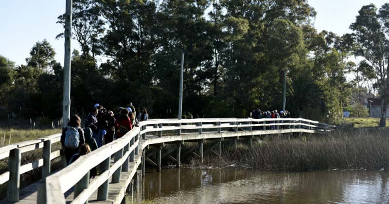 vistiaa los humedales